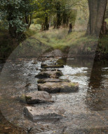 Great walk with a great pub. A walk around Llanwrytd Wells.
