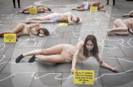 Protestors lie ‘dead’ in meat industry ‘crime scene’ on world vegan day, Piccadilly Circus, London, UK.