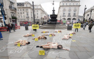 Protestors lie ‘dead’ in meat industry ‘crime scene’ on world vegan day, Piccadilly Circus, London, UK.
