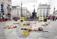 Protestors lie ‘dead’ in meat industry ‘crime scene’ on world vegan day, Piccadilly Circus, London, UK.