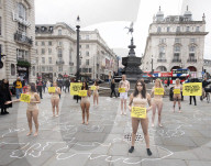Protestors lie ‘dead’ in meat industry ‘crime scene’ on world vegan day, Piccadilly Circus, London, UK.