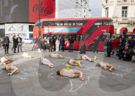 Protestors lie ‘dead’ in meat industry ‘crime scene’ on world vegan day, Piccadilly Circus, London, UK.