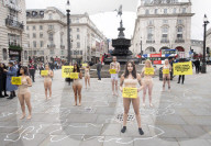 Protestors lie ‘dead’ in meat industry ‘crime scene’ on world vegan day, Piccadilly Circus, London, UK.