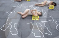 Protestors lie ‘dead’ in meat industry ‘crime scene’ on world vegan day, Piccadilly Circus, London, UK.