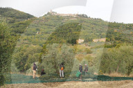 FEATURE -  Olivenernte in der Toskana