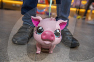 Hot Wheels and Gassy Gus game to be among must-have toys this Christmas. Chair of DreamToys selection committee says the industry is working hard to overcome supply chain crisis