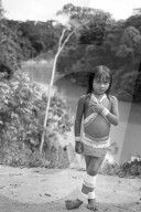 Tribes in deep water: gold, guns and the Amazon's last frontier. Mining reserves – and plentiful fish – mean Brazil’s Javari Valley is increasingly at risk from armed poachers seeking to plunder its resources. So, too, are the tribes who call it hom
