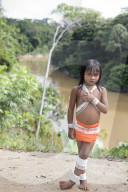 Tribes in deep water: gold, guns and the Amazon's last frontier. Mining reserves – and plentiful fish – mean Brazil’s Javari Valley is increasingly at risk from armed poachers seeking to plunder its resources. So, too, are the tribes who call it hom