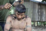 Tribes in deep water: gold, guns and the Amazon's last frontier. Mining reserves – and plentiful fish – mean Brazil’s Javari Valley is increasingly at risk from armed poachers seeking to plunder its resources. So, too, are the tribes who call it hom