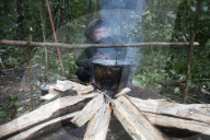 Tribes in deep water: gold, guns and the Amazon's last frontier. Mining reserves – and plentiful fish – mean Brazil’s Javari Valley is increasingly at risk from armed poachers seeking to plunder its resources. So, too, are the tribes who call it hom
