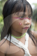 Tribes in deep water: gold, guns and the Amazon's last frontier. Mining reserves – and plentiful fish – mean Brazil’s Javari Valley is increasingly at risk from armed poachers seeking to plunder its resources. So, too, are the tribes who call it hom