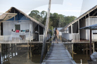 Tribes in deep water: gold, guns and the Amazon's last frontier. Mining reserves – and plentiful fish – mean Brazil’s Javari Valley is increasingly at risk from armed poachers seeking to plunder its resources. So, too, are the tribes who call it hom