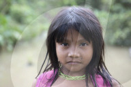 Tribes in deep water: gold, guns and the Amazon's last frontier. Mining reserves – and plentiful fish – mean Brazil’s Javari Valley is increasingly at risk from armed poachers seeking to plunder its resources. So, too, are the tribes who call it hom