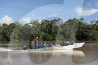 Tribes in deep water: gold, guns and the Amazon's last frontier. Mining reserves – and plentiful fish – mean Brazil’s Javari Valley is increasingly at risk from armed poachers seeking to plunder its resources. So, too, are the tribes who call it hom