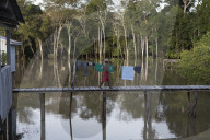 Tribes in deep water: gold, guns and the Amazon's last frontier. Mining reserves – and plentiful fish – mean Brazil’s Javari Valley is increasingly at risk from armed poachers seeking to plunder its resources. So, too, are the tribes who call it hom