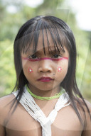 Tribes in deep water: gold, guns and the Amazon's last frontier. Mining reserves – and plentiful fish – mean Brazil’s Javari Valley is increasingly at risk from armed poachers seeking to plunder its resources. So, too, are the tribes who call it hom