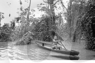 Tribes in deep water: gold, guns and the Amazon's last frontier. Mining reserves – and plentiful fish – mean Brazil’s Javari Valley is increasingly at risk from armed poachers seeking to plunder its resources. So, too, are the tribes who call it hom