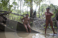 Tribes in deep water: gold, guns and the Amazon's last frontier. Mining reserves – and plentiful fish – mean Brazil’s Javari Valley is increasingly at risk from armed poachers seeking to plunder its resources. So, too, are the tribes who call it hom