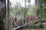 Tribes in deep water: gold, guns and the Amazon's last frontier. Mining reserves – and plentiful fish – mean Brazil’s Javari Valley is increasingly at risk from armed poachers seeking to plunder its resources. So, too, are the tribes who call it hom