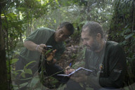 Tribes in deep water: gold, guns and the Amazon's last frontier. Mining reserves – and plentiful fish – mean Brazil’s Javari Valley is increasingly at risk from armed poachers seeking to plunder its resources. So, too, are the tribes who call it hom