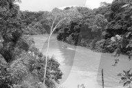 Tribes in deep water: gold, guns and the Amazon's last frontier. Mining reserves – and plentiful fish – mean Brazil’s Javari Valley is increasingly at risk from armed poachers seeking to plunder its resources. So, too, are the tribes who call it hom