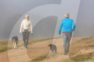 Foggy and frosty morning for Londoners
