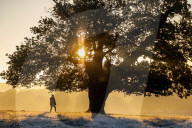 Foggy and frosty morning for Londoners