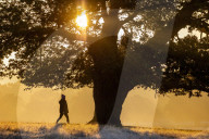 Foggy and frosty morning for Londoners