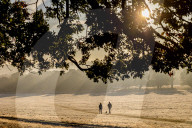 Foggy and frosty morning for Londoners