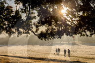 Foggy and frosty morning for Londoners