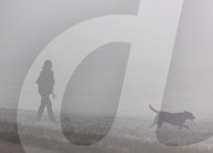 Foggy and frosty morning for Londoners