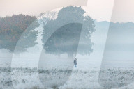 Foggy and frosty morning for Londoners