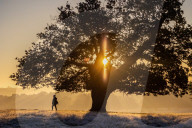 Foggy and frosty morning for Londoners