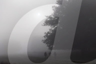 Foggy and frosty morning for Londoners