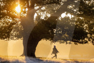 Foggy and frosty morning for Londoners