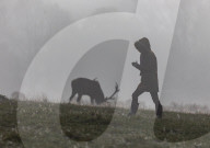 Foggy and frosty morning for Londoners