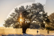 Foggy and frosty morning for Londoners