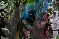 NEWS -  Bananenernte unter erschwerten Bedingungen nach dem Vulkanausbruch auf La Palma