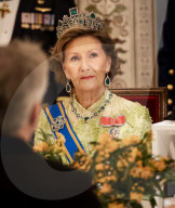 ROYALS -  Staatsdinner in Oslo zu Ehren des Besuchs des Königs und der Königin der Niederlande