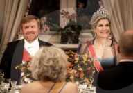 ROYALS -  Staatsdinner in Oslo zu Ehren des Besuchs des Königs und der Königin der Niederlande