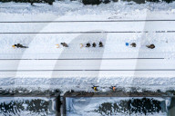 NEWS - Handarbeit: Chinesen räumen Schnee auf den Gleisen des Bahnhofs in Tongliao