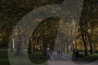 Twilight moments: darkness falls in London. 
Guardian photographer Sarah Lee has been roaming around in the gloaming, photographing autumn scenes as the nights draw in.