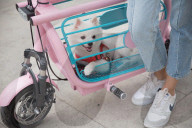 FEATURE - E-Moped mit eingebauter Hundebox