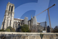 NEWS - Paris: Wiederaufbau der Kathedrale Notre-Dame