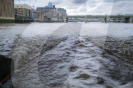 ‘No sharks but I’ve seen porpoises’: the rebirth of the River Thames. A trip down London’s famous waterway reveals many signs of life – but is this another false dawn?