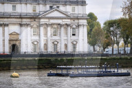 ‘No sharks but I’ve seen porpoises’: the rebirth of the River Thames. A trip down London’s famous waterway reveals many signs of life – but is this another false dawn?