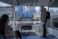 ‘No sharks but I’ve seen porpoises’: the rebirth of the River Thames. A trip down London’s famous waterway reveals many signs of life – but is this another false dawn?