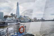 ‘No sharks but I’ve seen porpoises’: the rebirth of the River Thames. A trip down London’s famous waterway reveals many signs of life – but is this another false dawn?