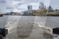 ‘No sharks but I’ve seen porpoises’: the rebirth of the River Thames. A trip down London’s famous waterway reveals many signs of life – but is this another false dawn?