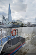 ‘No sharks but I’ve seen porpoises’: the rebirth of the River Thames. A trip down London’s famous waterway reveals many signs of life – but is this another false dawn?